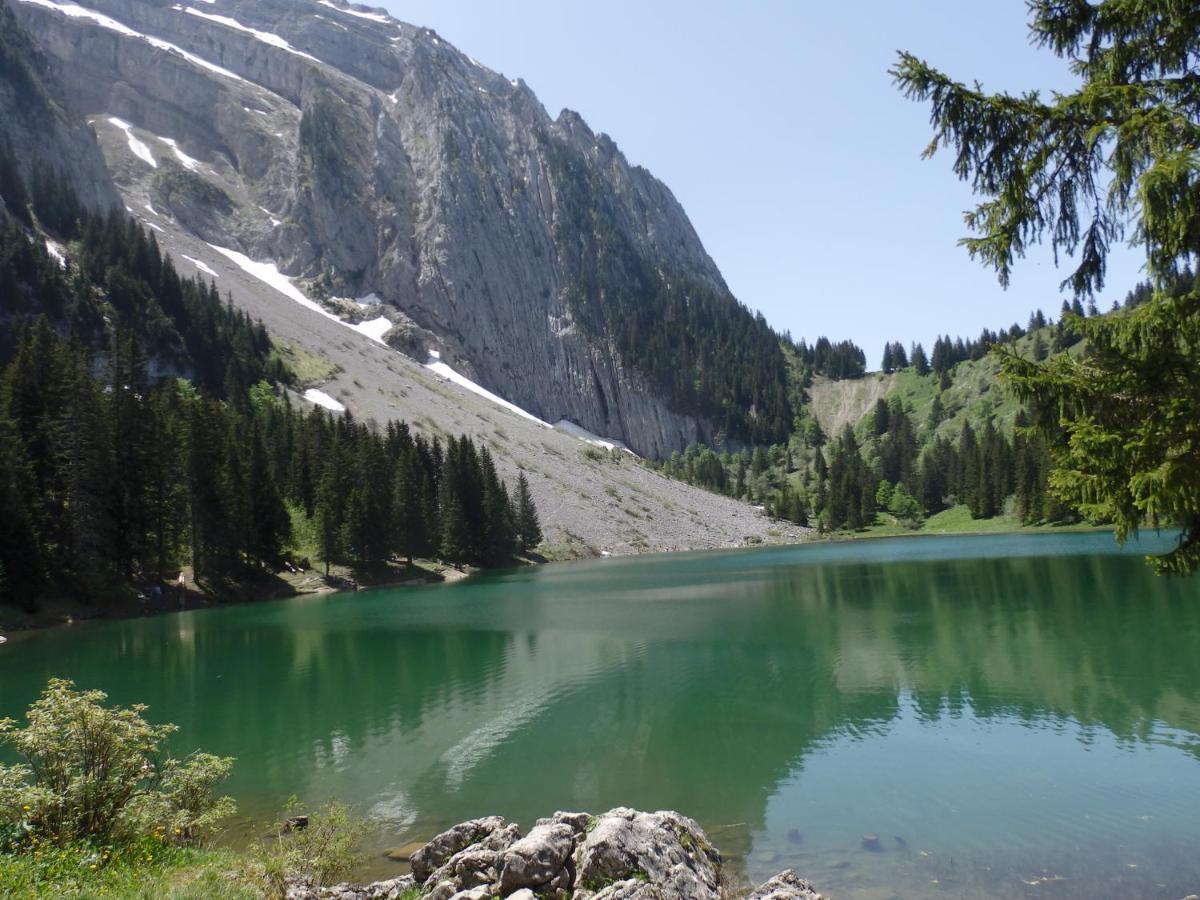 Au Coeur Des Alpes Bed & Breakfast Marignier Luaran gambar